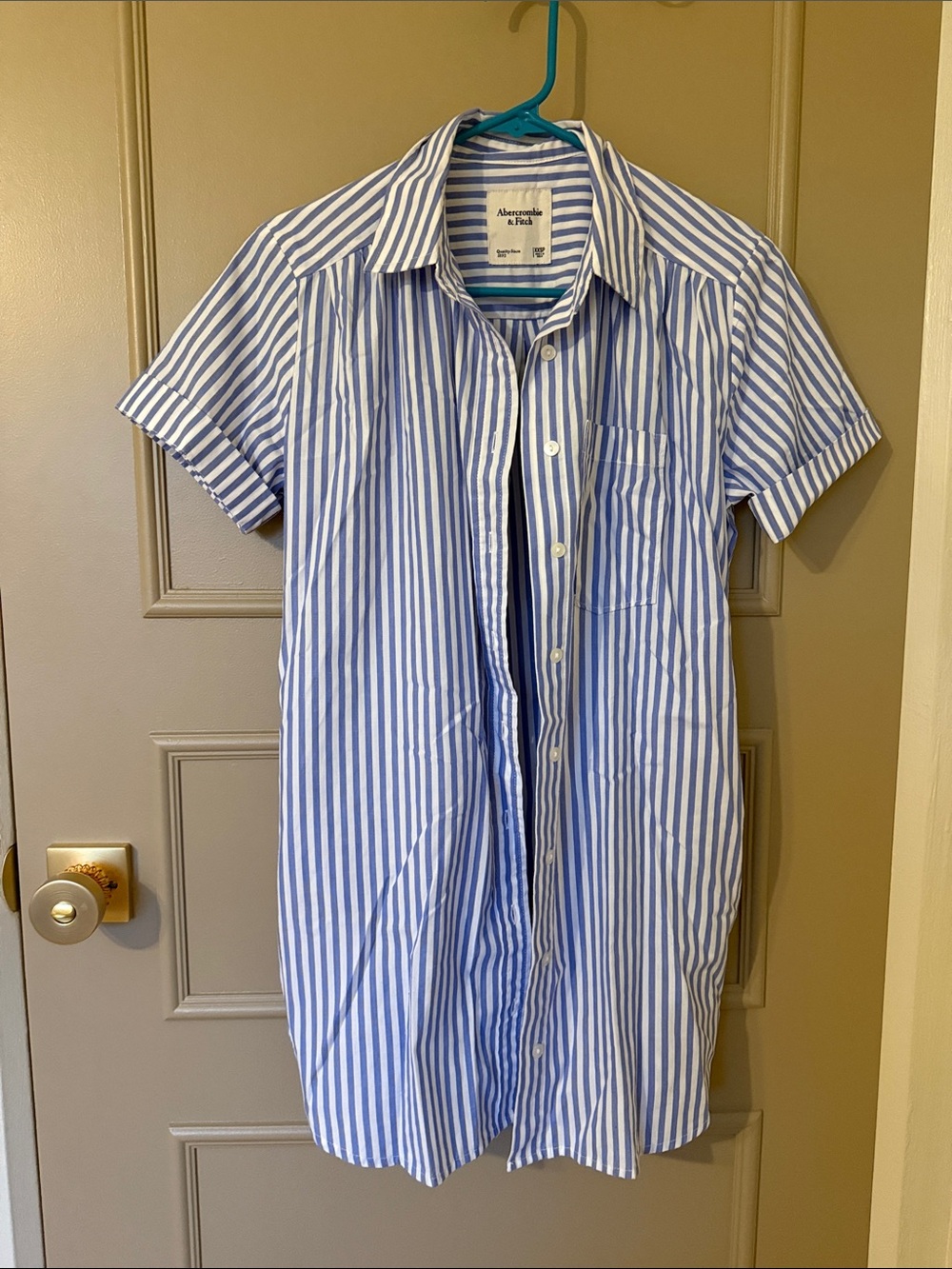 Abercrombie & Fitch Blue and White Vertical Stripe Short Sleeve Button-Up